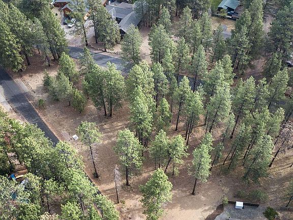 2nd image of 169 W Black Crater Ave
