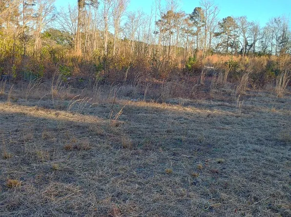TBD Loop Circle, Longs, SC 29568