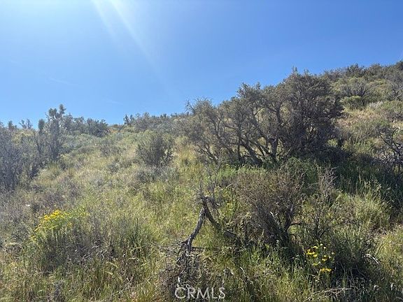 2nd image of LOT Five