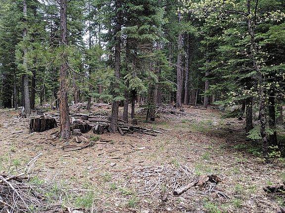 4th image of 2394 Crooked Creek Ln