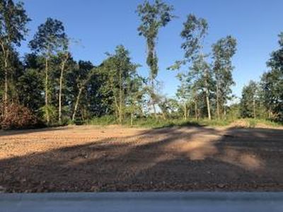 Lot 30 S Maryland Avenue, Springfield, MO, 65810