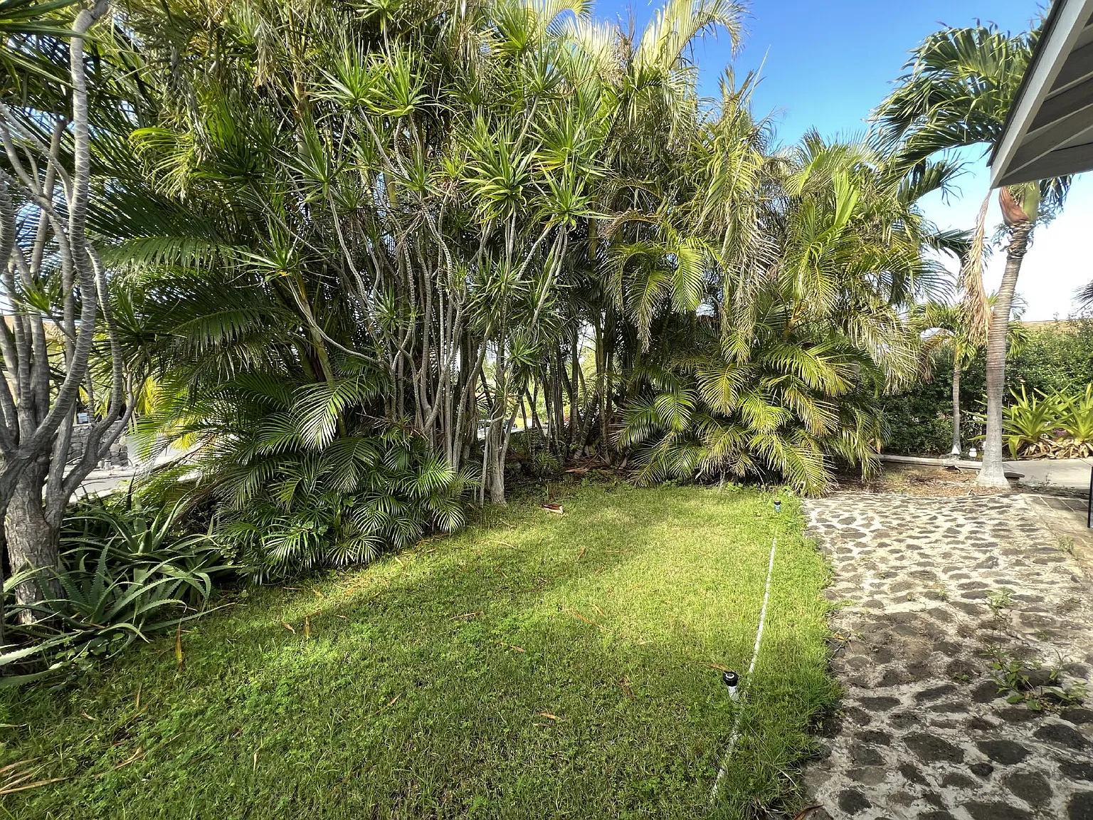 1 bed, 1.0 bath, 1000 sqft, $2,500 — Photo 1