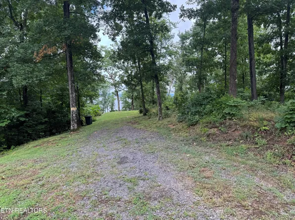 Bonnevista Dr, White Pine, TN 37890