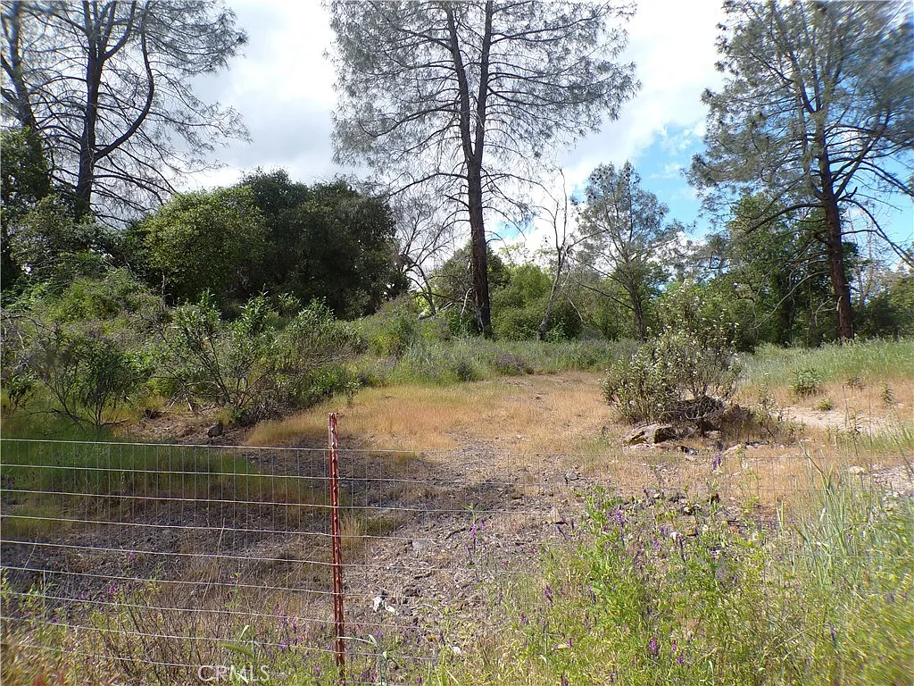 14304 Redbud Ln photo 1