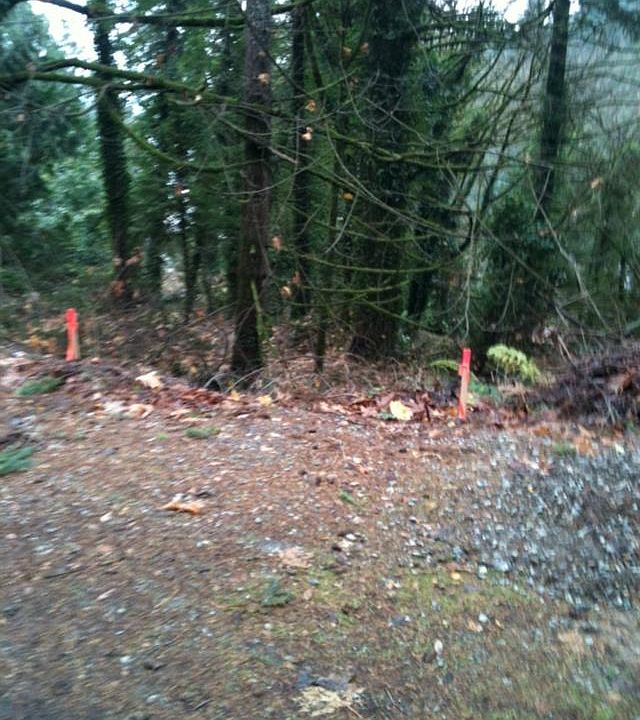 1st image of 3328 Windolph Ln NW