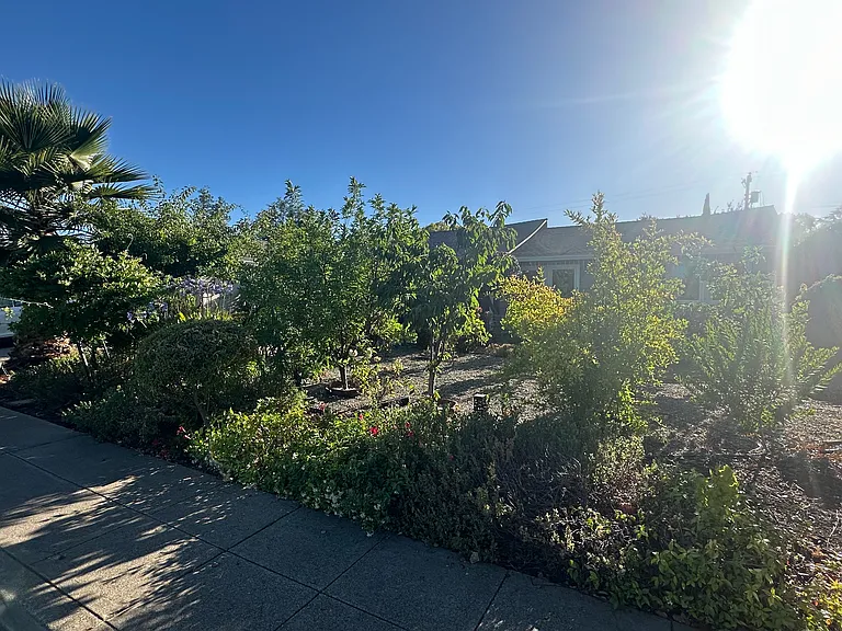 1864 Orangetree Ln — Photo 18