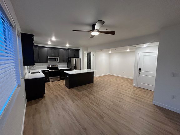 Kitchen and Living Space