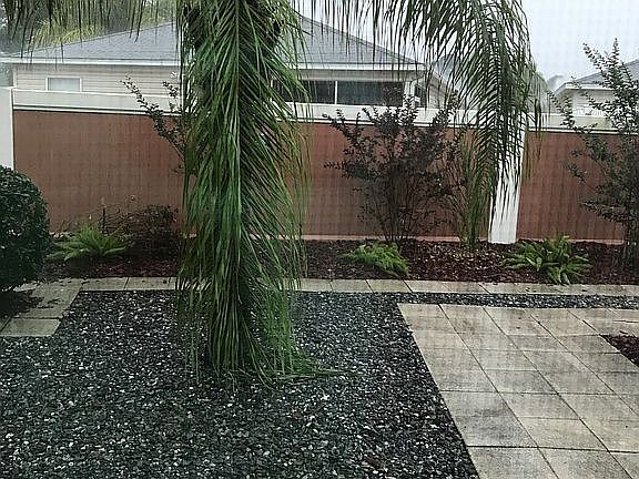 Back yard