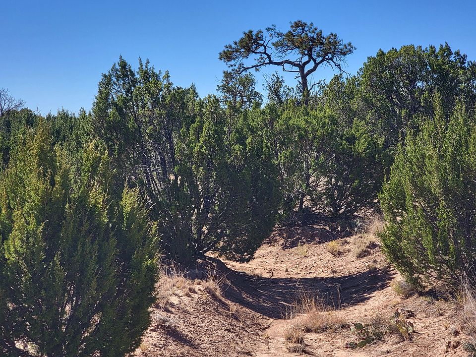 2nd image of 32 Camino Monte Azul