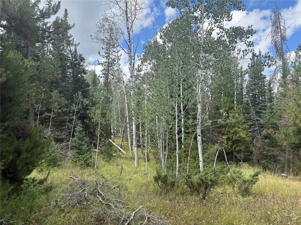 20875 MUSTANG WAY, Oak Creek, CO 80467