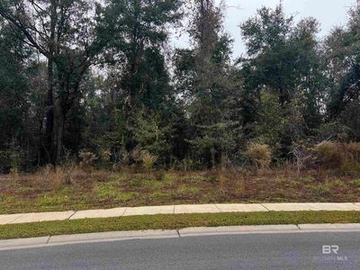 0 Wildflower Trl #14, Daphne, AL, 36527