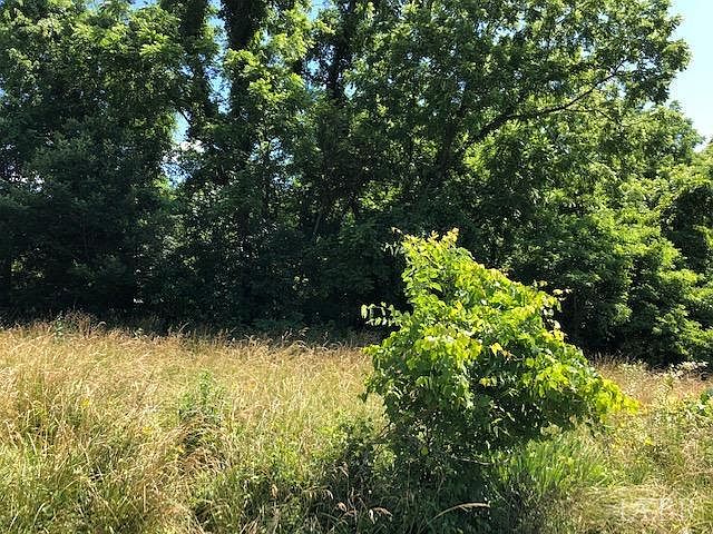 2nd image of 1189 Foliage Dr