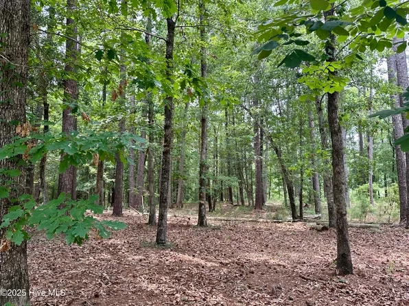 513 Holland Mill Lane, Stella, NC 28582