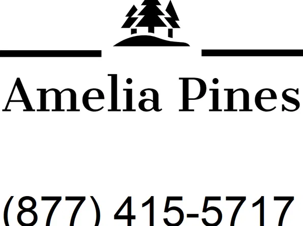 Amelia Pines, 78030 Susi Ln, Yulee, FL 32097