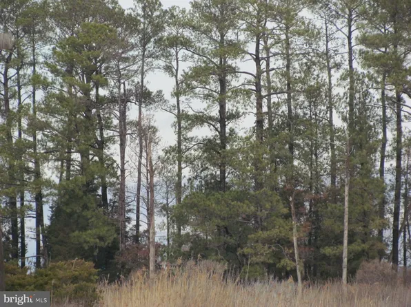 Piney Point Rd, Piney Pt, MD 20674