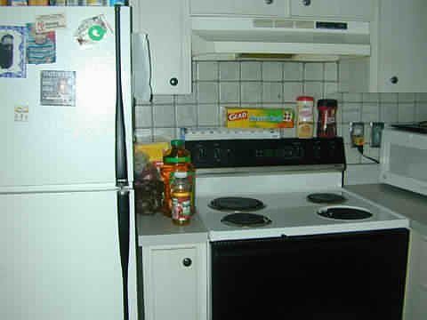 kitchen area-small but efficient