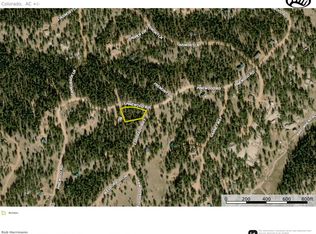 648 Pinon Ln, Florissant, CO 80816