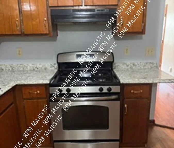 203 Toby Springs Ln — Photo 3