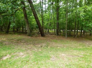 91 S Fairway Loop, Coldspring, TX 77331