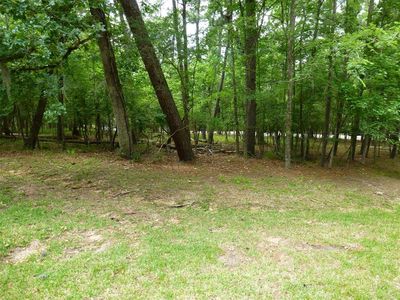 91 S Fairway Loop, Coldspring, TX, 77331