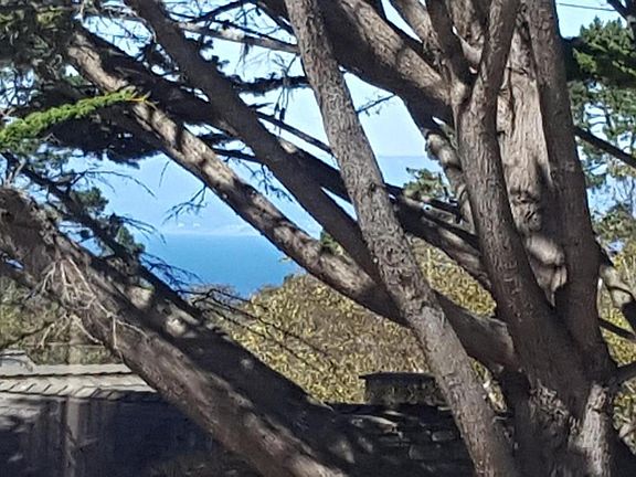 Peek of the monterey Bay