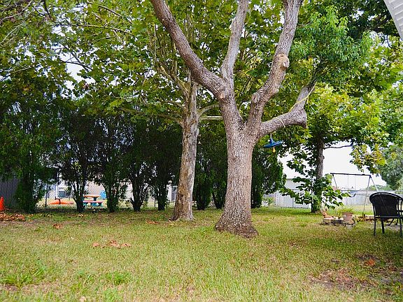 Spacious Backyard 