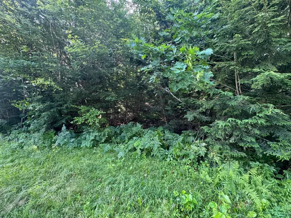 Map 6 Lot 23-9 Pinewood Drive, Corinth, ME 04427