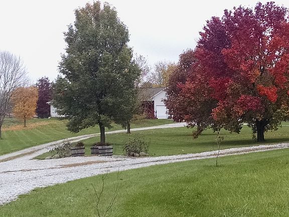 Fall Colors