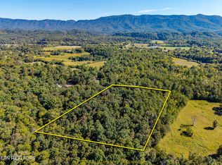 1903 Tree Tops Ln, Seymour, TN 37865