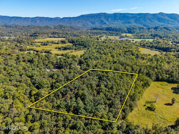 1903 Tree Tops Ln, Seymour, TN 37865
