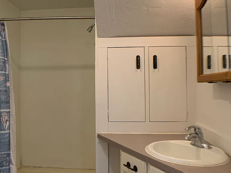215CanningSt - LowerLevelBathroom_11242020