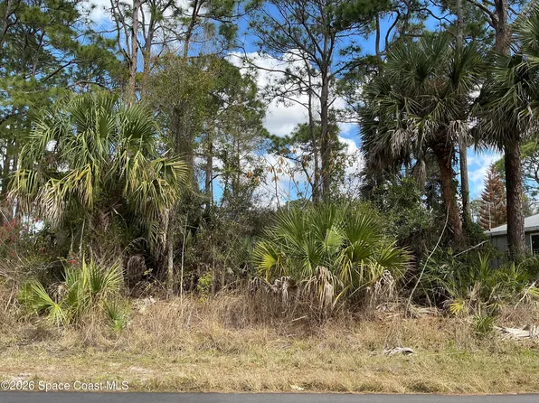 485 Gephart St SW, Palm Bay, FL 32908