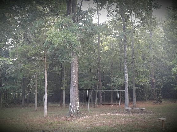 View from kitchen door