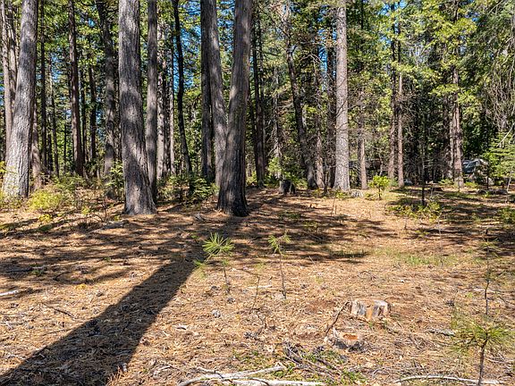 3rd image of Lot #1 Emigrant Trail