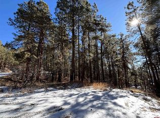228 Timber Dr, Bayfield, CO 81122