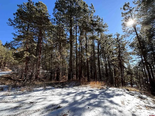 228 Timber Drive, Bayfield, CO 81122