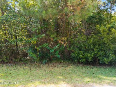 2445 Driftwood Acres Drive SW, Supply, NC, 28462