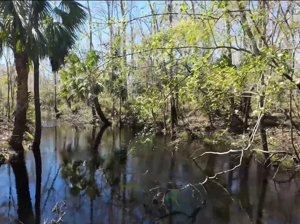 4278 Woods Creek Rd, Perry, FL 32347