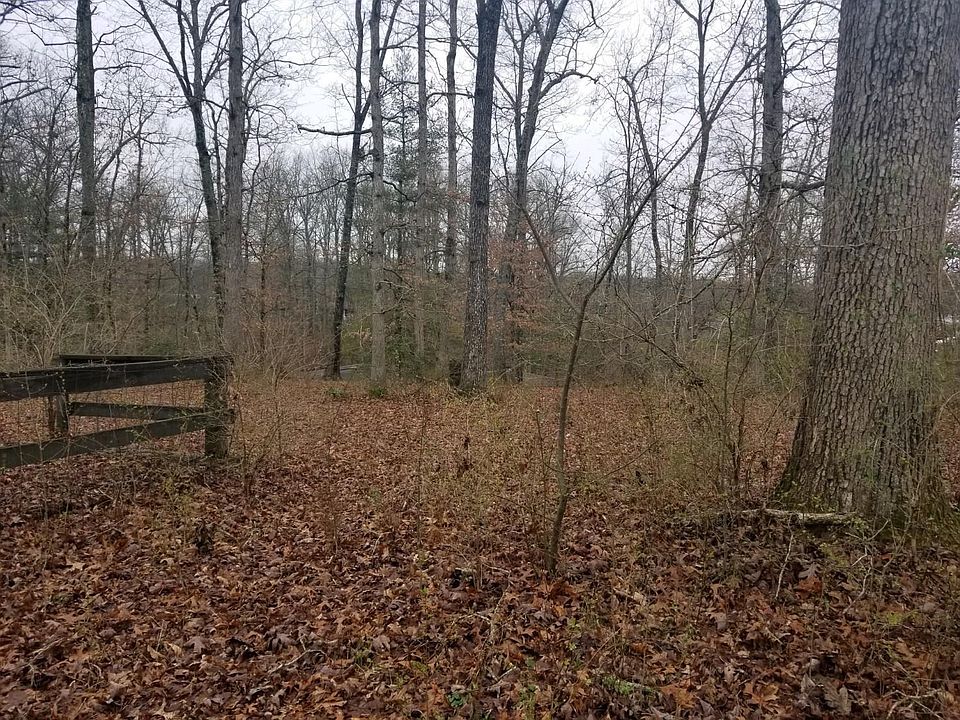 2nd image of Wells Rd