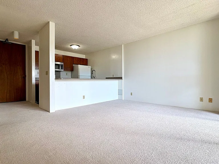55 S Judd St #1103 — Photo 3
