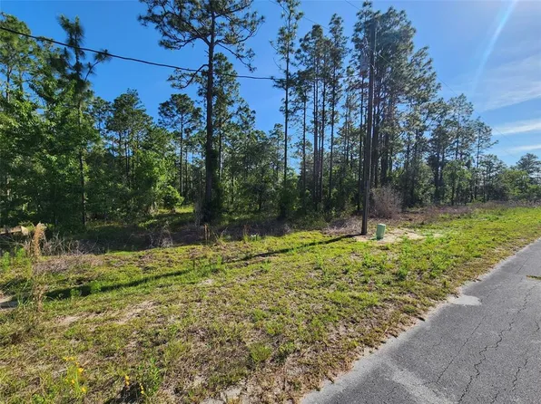 NW Shamrock Ave Lot 65, Dunnellon, FL 34431