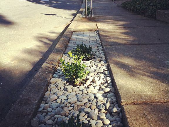 Front Yard Landscaping