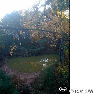 3rd image of 0 Mcgower Road