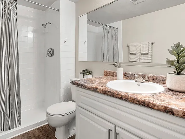 Revel in the luxurious master bathroom oasis, featuring wood-style flooring, an oversized vanity, and a generously sized mirror, ensuring ultimate comfort and style.