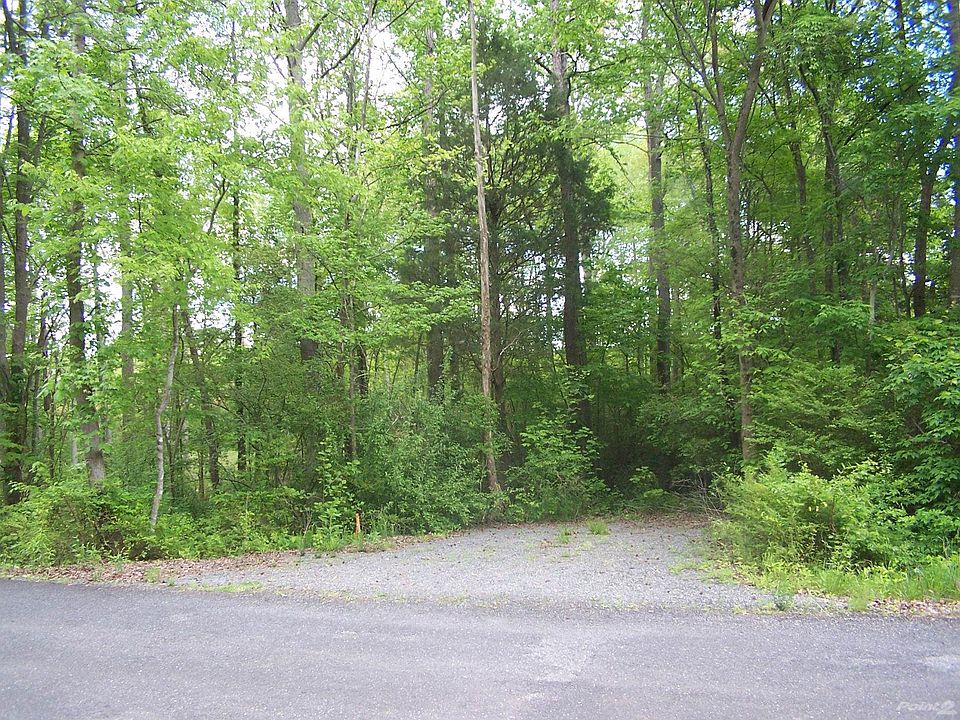 Head across the stream to your new home!