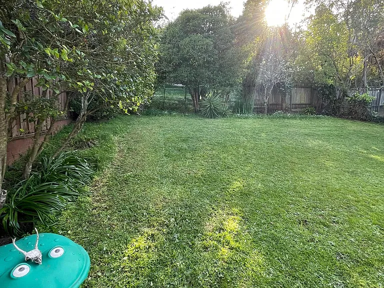 Large fenced in backyard lawn!