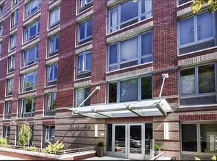 Isabella, Brooklyn, NY 11238