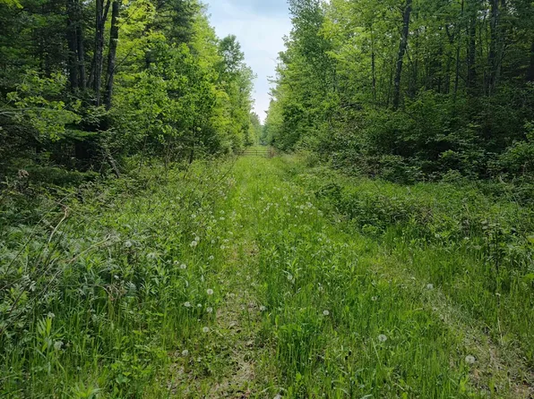 On Meister Stockley Rd, Pelican Lake, WI 54463