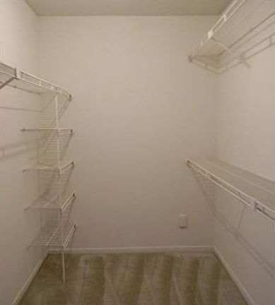Get Lost in this Closet