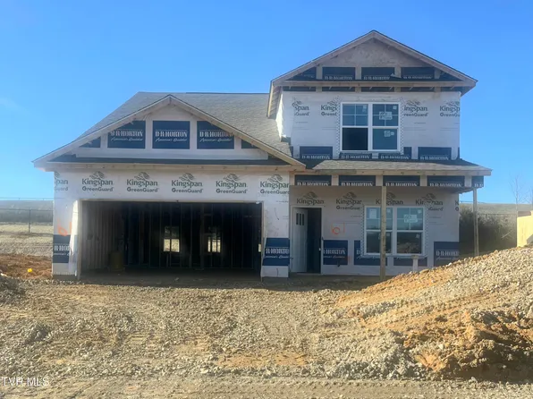 217 Artist Ave, Johnson City, TN 37615